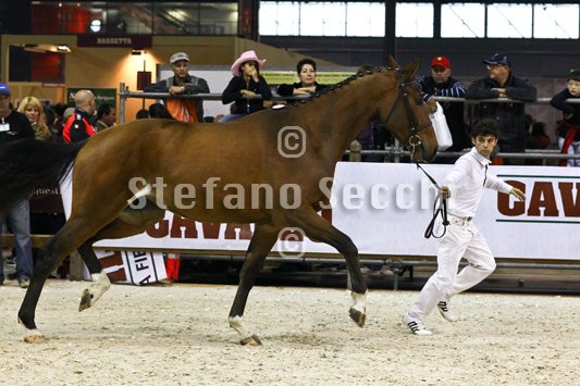 NADA BRAUN_MILANO_2010_SS3_1529.jpg